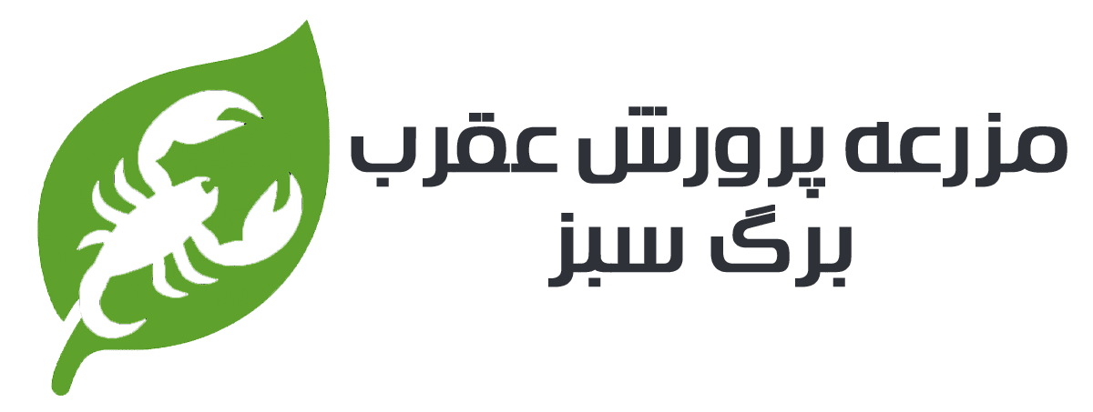 مزرعه پرورش عقرب برگ سبز – آموزش پرورش عقرب ،گزدم و کژدم